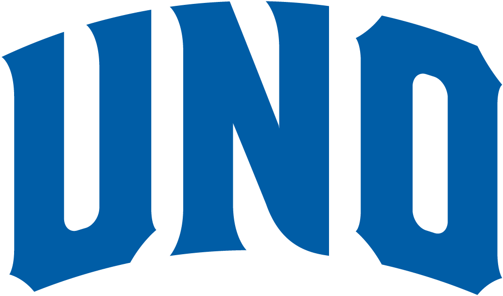 New Orleans Privateers 2013-Pres Wordmark Logo v3 diy iron on heat transfer